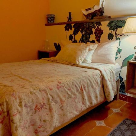 サン・ミゲル・デ・アジェンデ Pozzito Boutique Bed & Breakfast エクステリア 写真