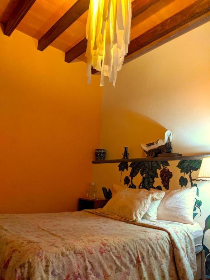 サン・ミゲル・デ・アジェンデ Pozzito Boutique Bed & Breakfast エクステリア 写真