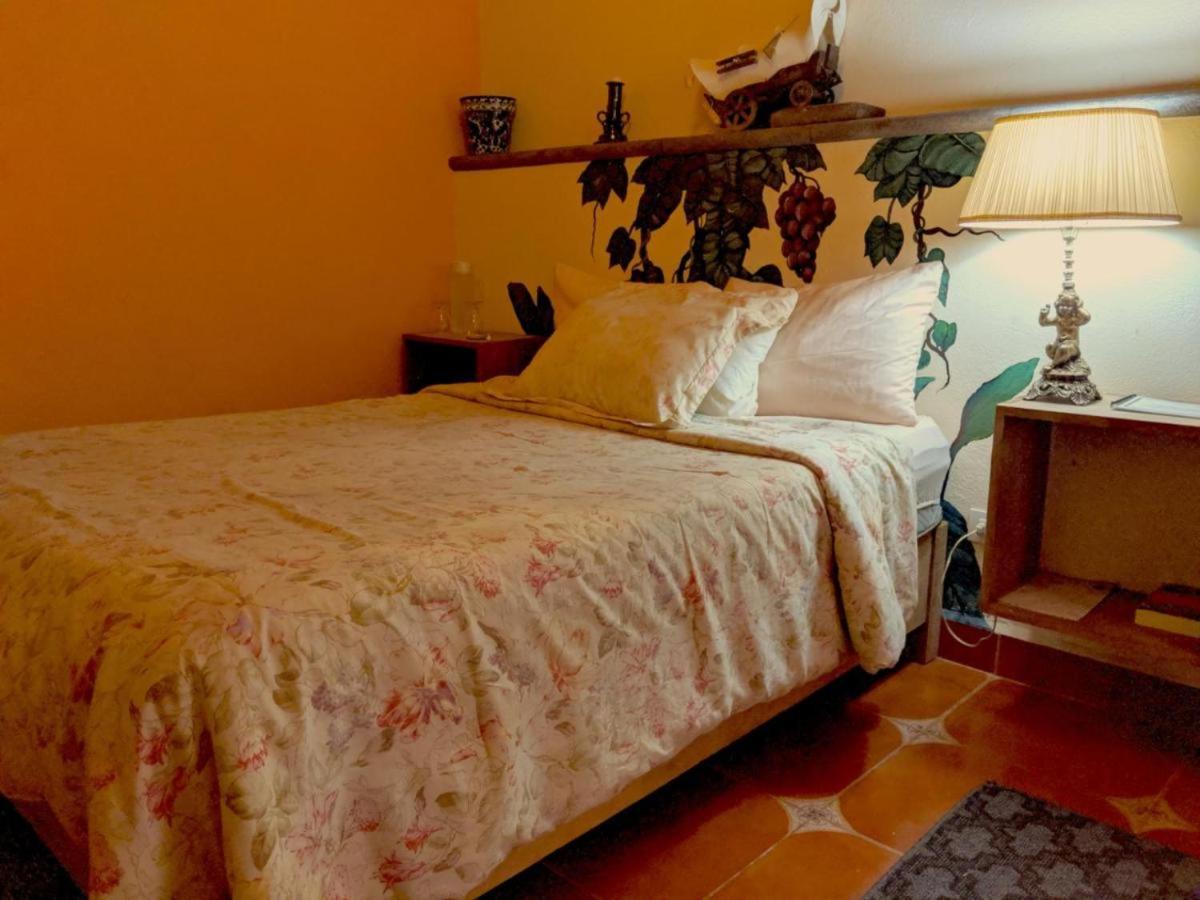 サン・ミゲル・デ・アジェンデ Pozzito Boutique Bed & Breakfast エクステリア 写真