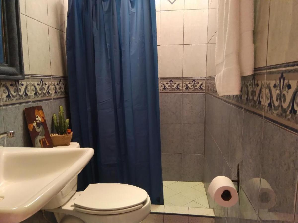 サン・ミゲル・デ・アジェンデ Pozzito Boutique Bed & Breakfast エクステリア 写真