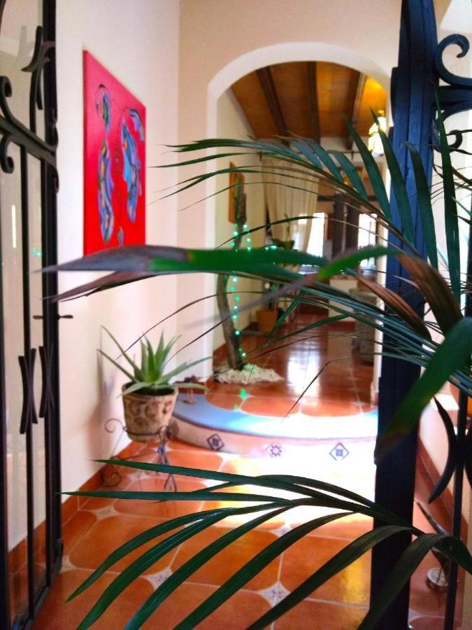 サン・ミゲル・デ・アジェンデ Pozzito Boutique Bed & Breakfast エクステリア 写真